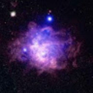 Meet your Posher, Chyann